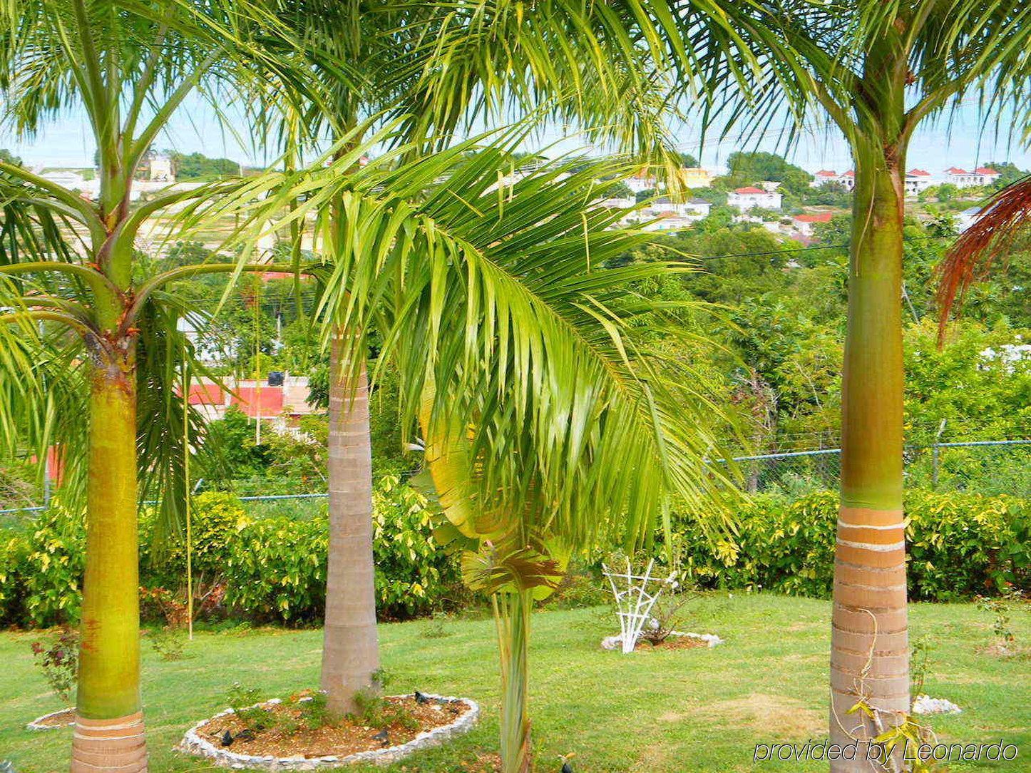 Emerald View Resort Villa Montego Bay Exteriör bild