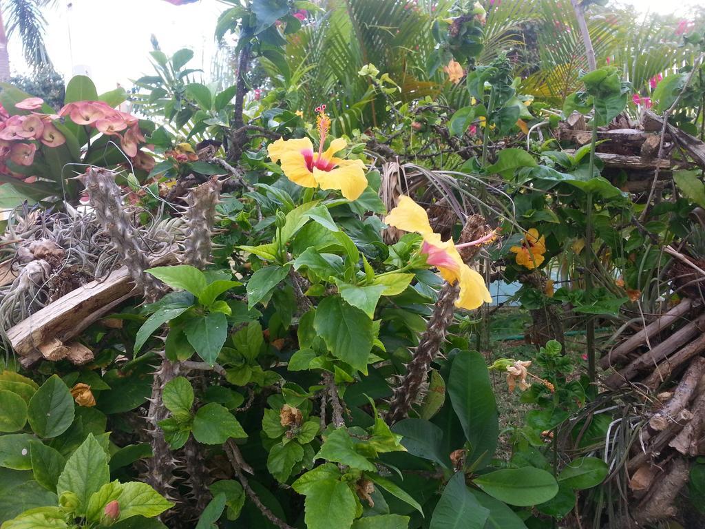 Emerald View Resort Villa Montego Bay Exteriör bild